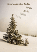 Voeux d'hiver pour une ann&eacute;e 2026 sereine